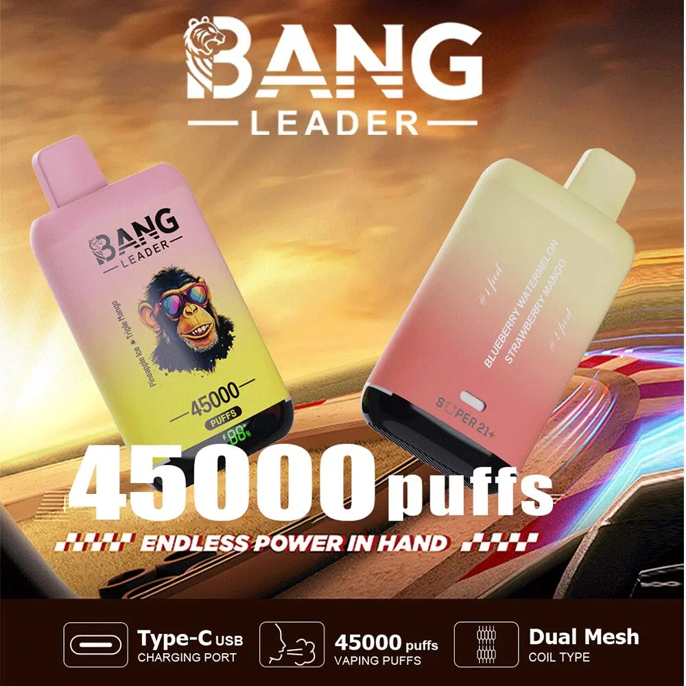 Bang Leader 45000 45K Puffs 2% 3% 5% Nicotine Double Taste LED Display Disposable Vape - Image 2