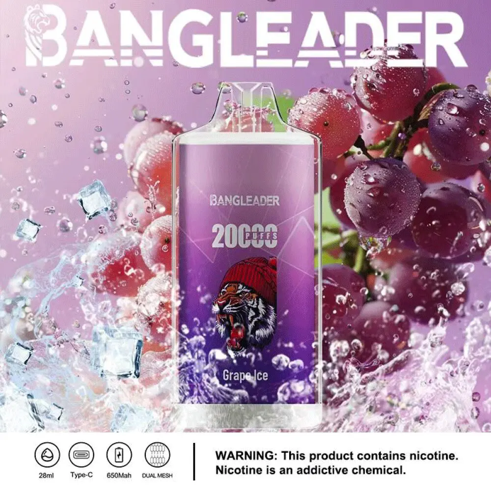 Bang Leader 20000 20K Puffs Newest Product Disposable Vape - Image 20