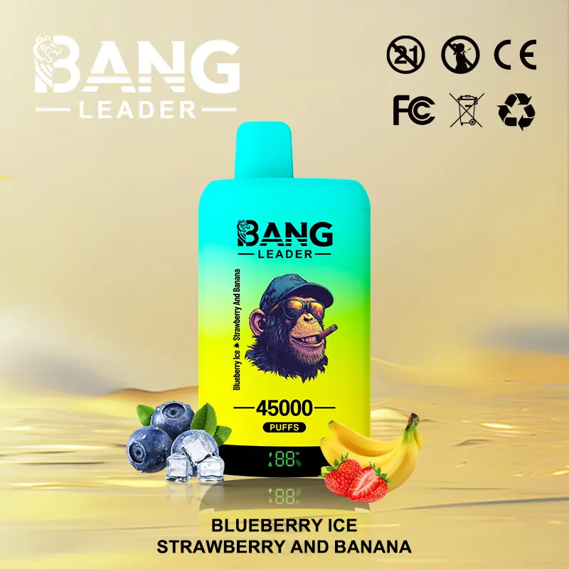 Bang Leader 45000 45K Puffs 2% 3% 5% Nicotine Double Taste LED Display Disposable Vape - Image 26