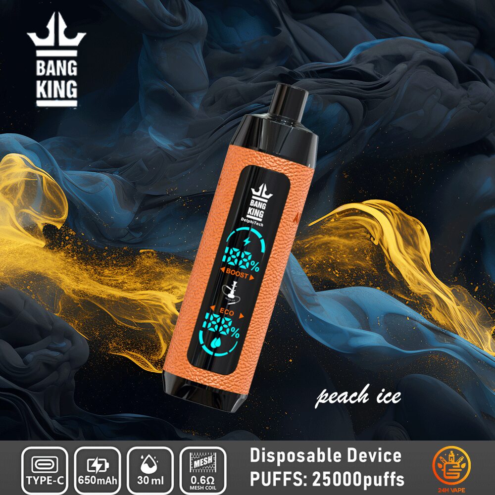 Bang King Shisha 25000 25K Puffs Newest LED Display Leather Disposable Vape Pen - Image 7