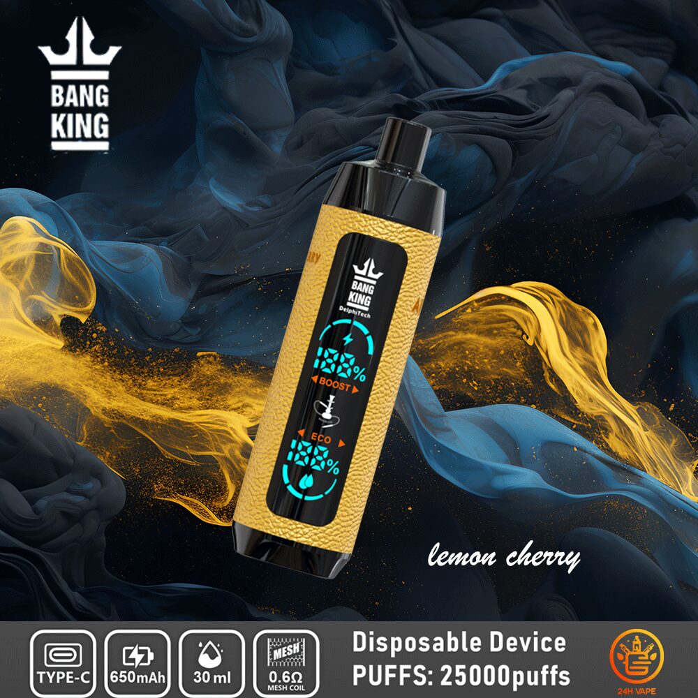 Bang King Shisha 25000 25K Puffs Newest LED Display Leather Disposable Vape Pen - Image 9