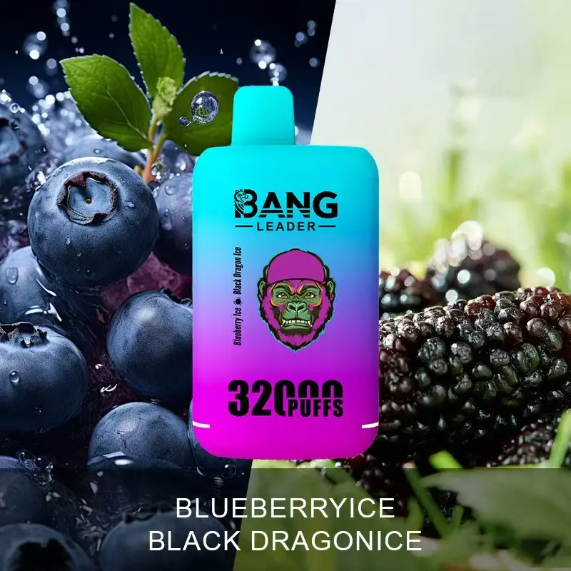 Bang Leader 32000 32k Puffs 0% 2% 3% 5% Nicotine Double Taste Disposable Vape - Image 10