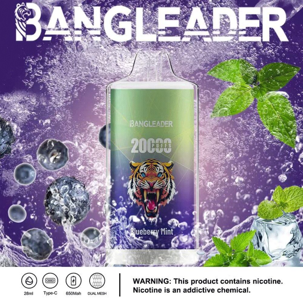 Bang Leader 20000 20K Puffs Newest Product Disposable Vape - Image 23