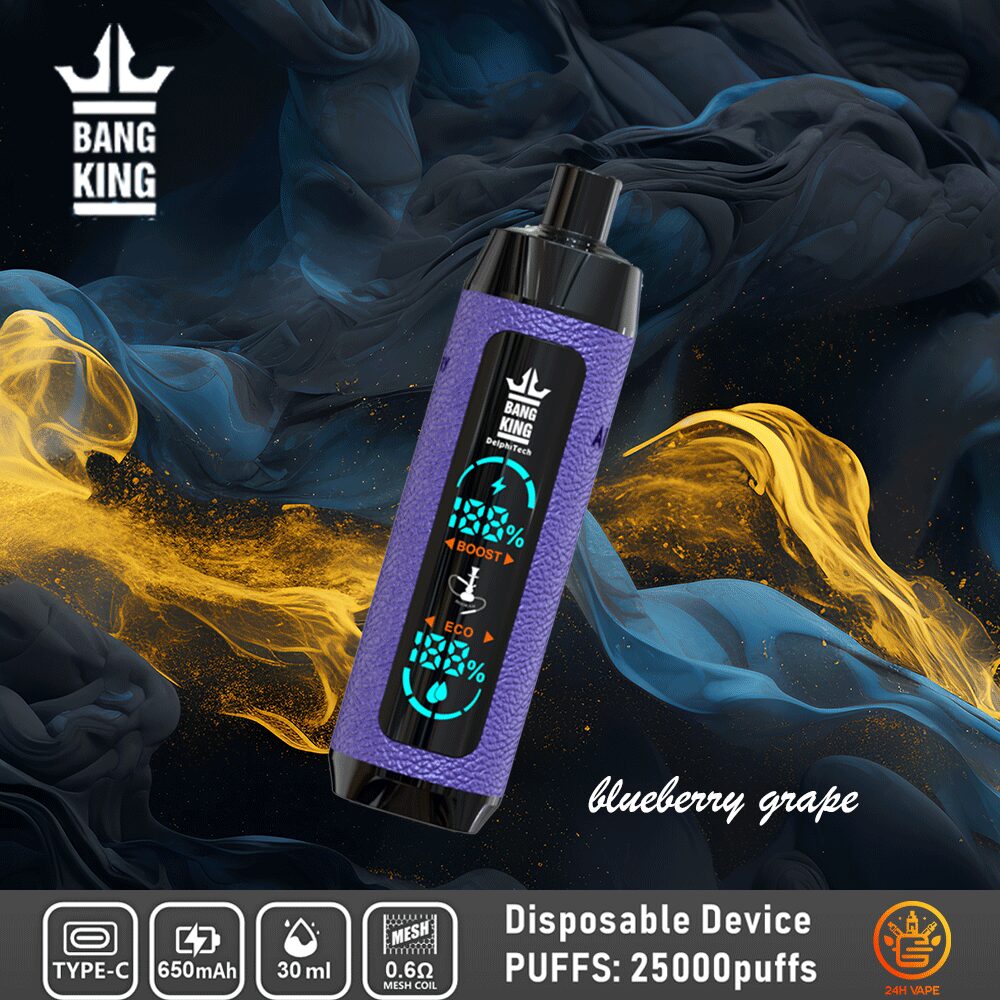 Bang King Shisha 25000 25K Puffs Newest LED Display Leather Disposable Vape Pen - Image 15