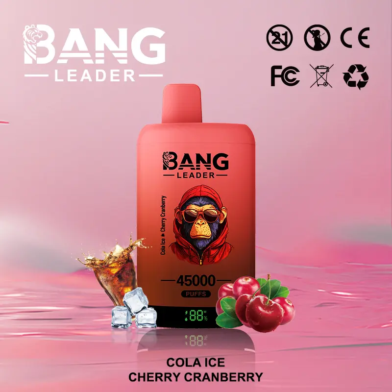 Bang Leader 45000 45K Puffs 2% 3% 5% Nicotine Double Taste LED Display Disposable Vape - Image 20