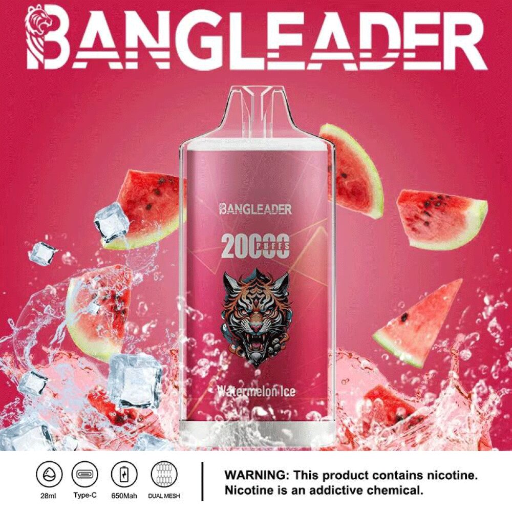 Bang Leader 20000 20K Puffs Newest Product Disposable Vape - Image 3