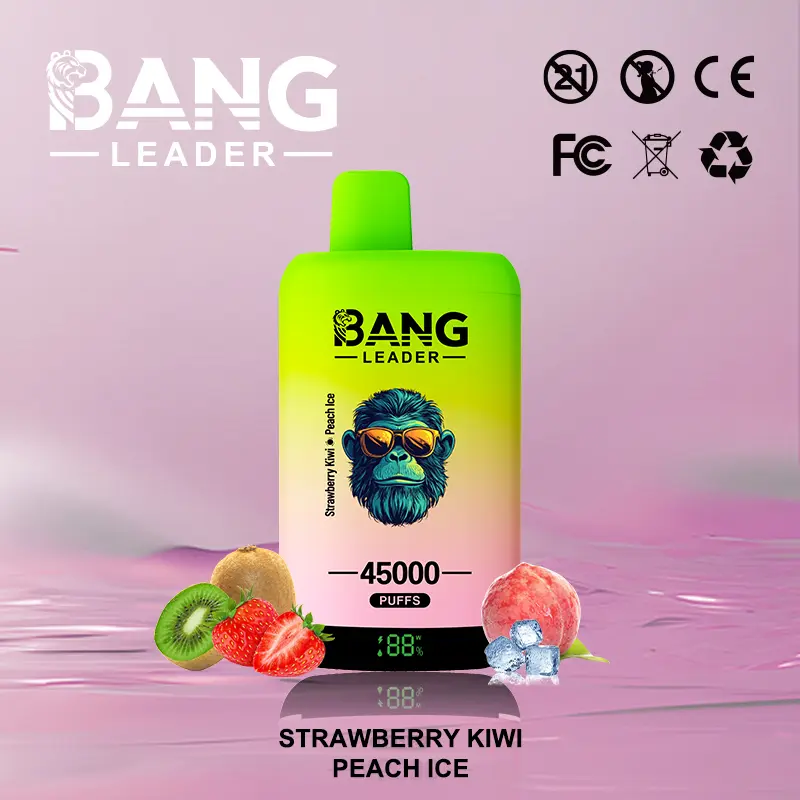 Bang Leader 45000 45K Puffs 2% 3% 5% Nicotine Double Taste LED Display Disposable Vape - Image 12